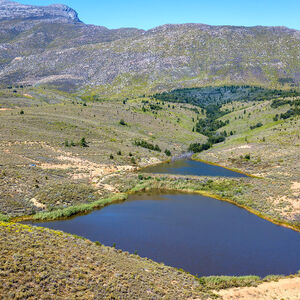 Farmer's Choice (479)