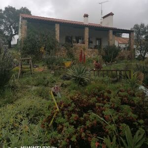 Portuguese Farmhouse with 6.2 Hectares &ndash; Pool, Land & More