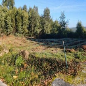 Terreno urbaniz&aacute;vel com 2.261 m2 - Vila Nova de Cerveira