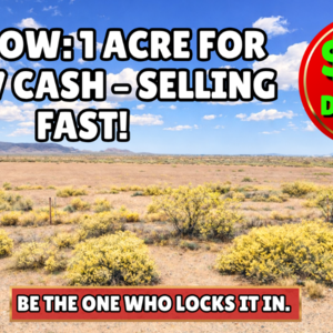 Two 0.50 Acre Lots Totalling 1 Acre. Secure It for $2,497