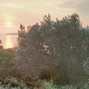 A plot with a view is for sale under Sveti Stefan