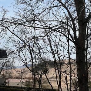 Sea View Apartment with 2 bedrooms, Dune Residence