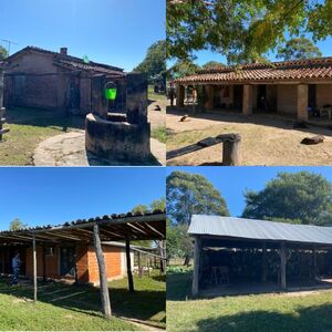 (4) Cattle Ranch - 8,902 ha -3000 head of cattle