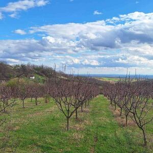 I am selling a plot - land in the LUX zone