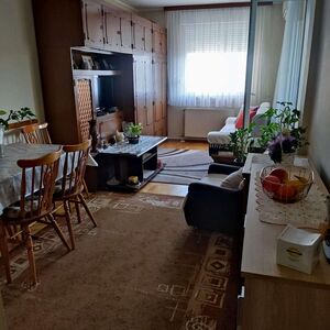 Furnished apartment of 45m2 in Novi Sad for sale