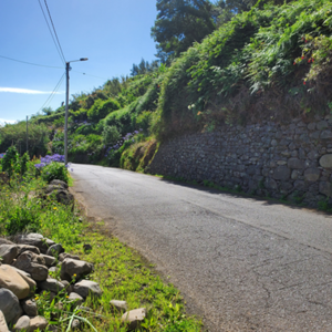 Land with 30.000m2, Fontinhas area, Lombo de Cima, Madeira
