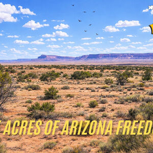 2.5 Acres Off-Grid Lot For Just $199/Down!