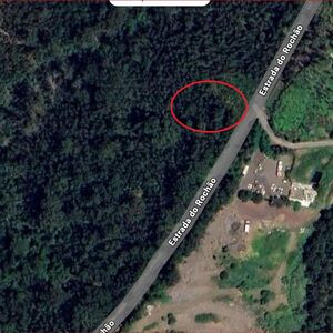 Land 1800m2, Roch&atilde;o, Arco da Calheta, Madeira Island