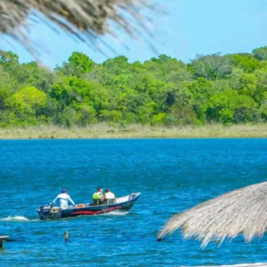 (4) 1,297-hectare property - San Pedro - Paraguay