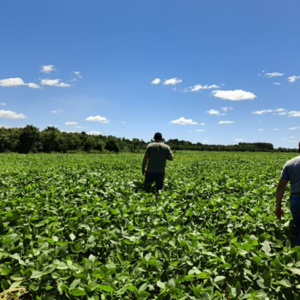 (1) 109-HECTARE AGRICULTURAL PROPERTY