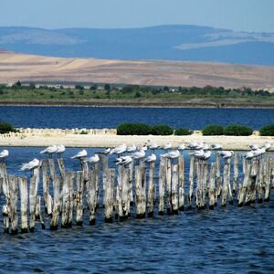 A luxury studio flat for sale in Pomorie