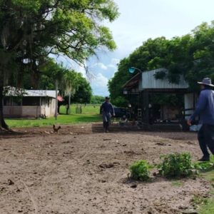 (7) 432 has for Sale in Tuparenda Area, Caazap&aacute;