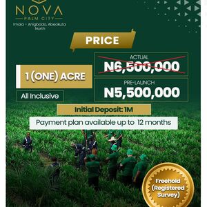 Nova Palm City 