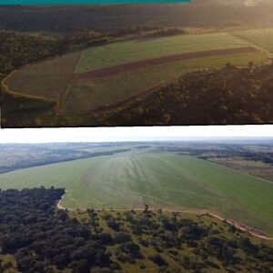 (14) Cattle Ranch of 420 has in Yasy Cany Paraguay