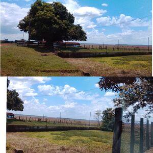 (7) Cattle Ranch of 1834 has in Ybycui Paraguay