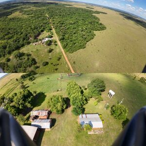 (4) Agro- / Cattle Ranch of 576 has Dep. San Pedro