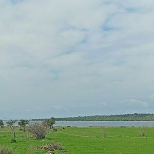 BEACHFRONT VILLA-ZONED LAND &mdash; PRESTIGIOUS INVESTMENT OPPORTU