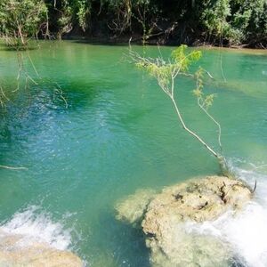 (4) Property of 1,159 Hectares in Concepci&oacute;n, PY