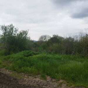Large regulated plot of land with an area of ​​4275 sq.m in 