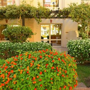 Studio 63Sqm directly on the pool