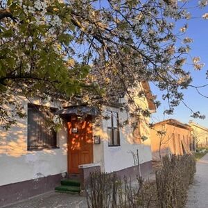 I am selling an apartment in Morović-&Scaron;id