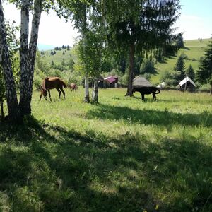 Land in Transylvania Romania