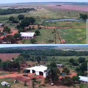(7) Agriculture of 374 has in dep San Pedro