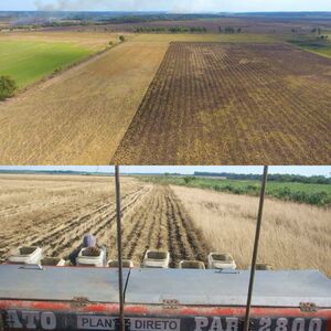 (3)Agroganaderia on 316 has. in Hohenau, Paraguay