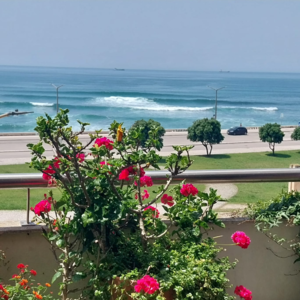 Apartment on the Atlantic coast in Figueira da Foz, Portugal