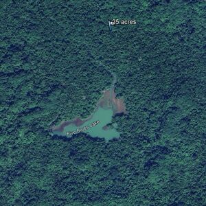 Belize Virgin Forest Land-25 acres near Five Blues Lake