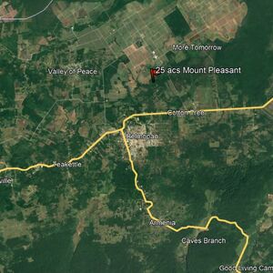 Belize Farm land-25 acres Never Delay Area