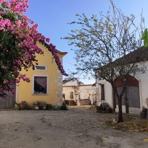 Historic Portuguese Estate with Courtyards, Barns, etc