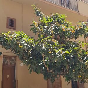 sh 869 town house, Caccamo, Sicily