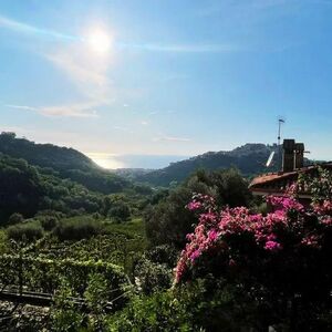 Seaview villa with garden and terrace 2.77 km to the sea 