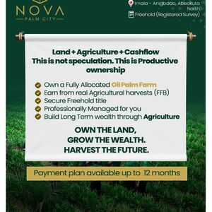Nova Palm City 
