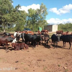 306.8-Hectare Property for Sale in Namaacha