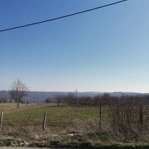 Plot on Varovnice, Dubona-Mladenovac