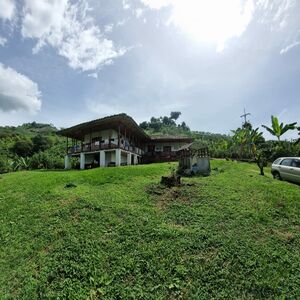 Coffee Farm Near Filadelfia, Caldas - 5.5 Hectares