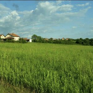 Land for sale in Sremcica-Belgrade