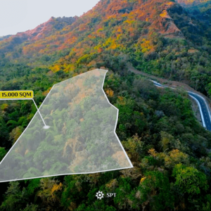 1.5 Hectares at an Unbeatable Price