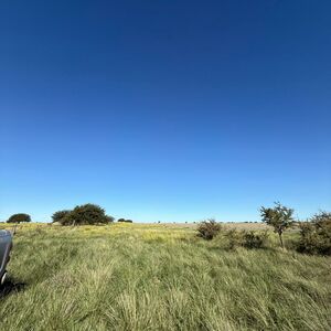 Field For Sale