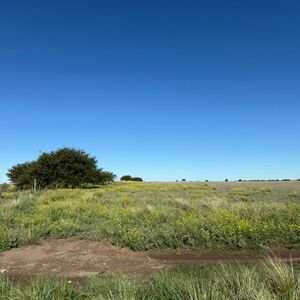 Field For Sale