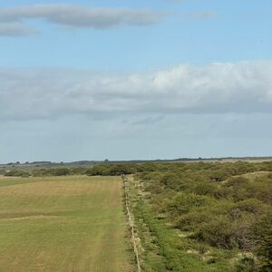 Field For Sale