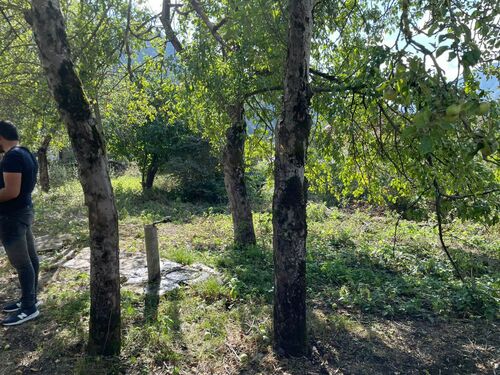 Garden - house front