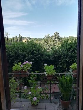 Wiew from the bedroom