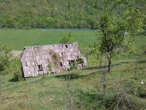 Old house ruin