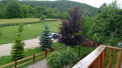 Look from one of rooms