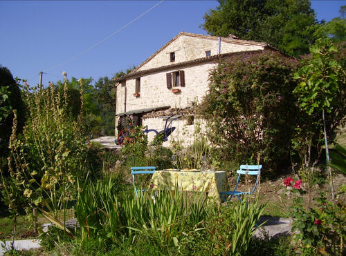 Looking from gardens