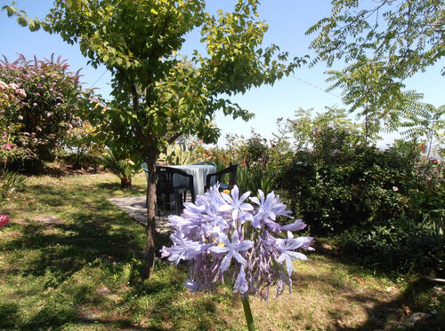 Seating area in Garden