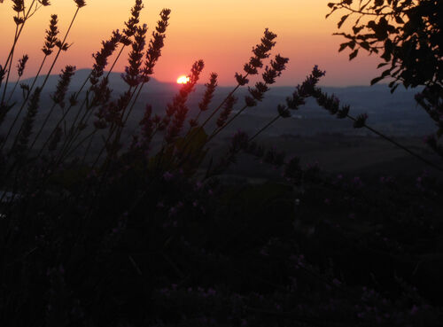 Sunrise view in summer